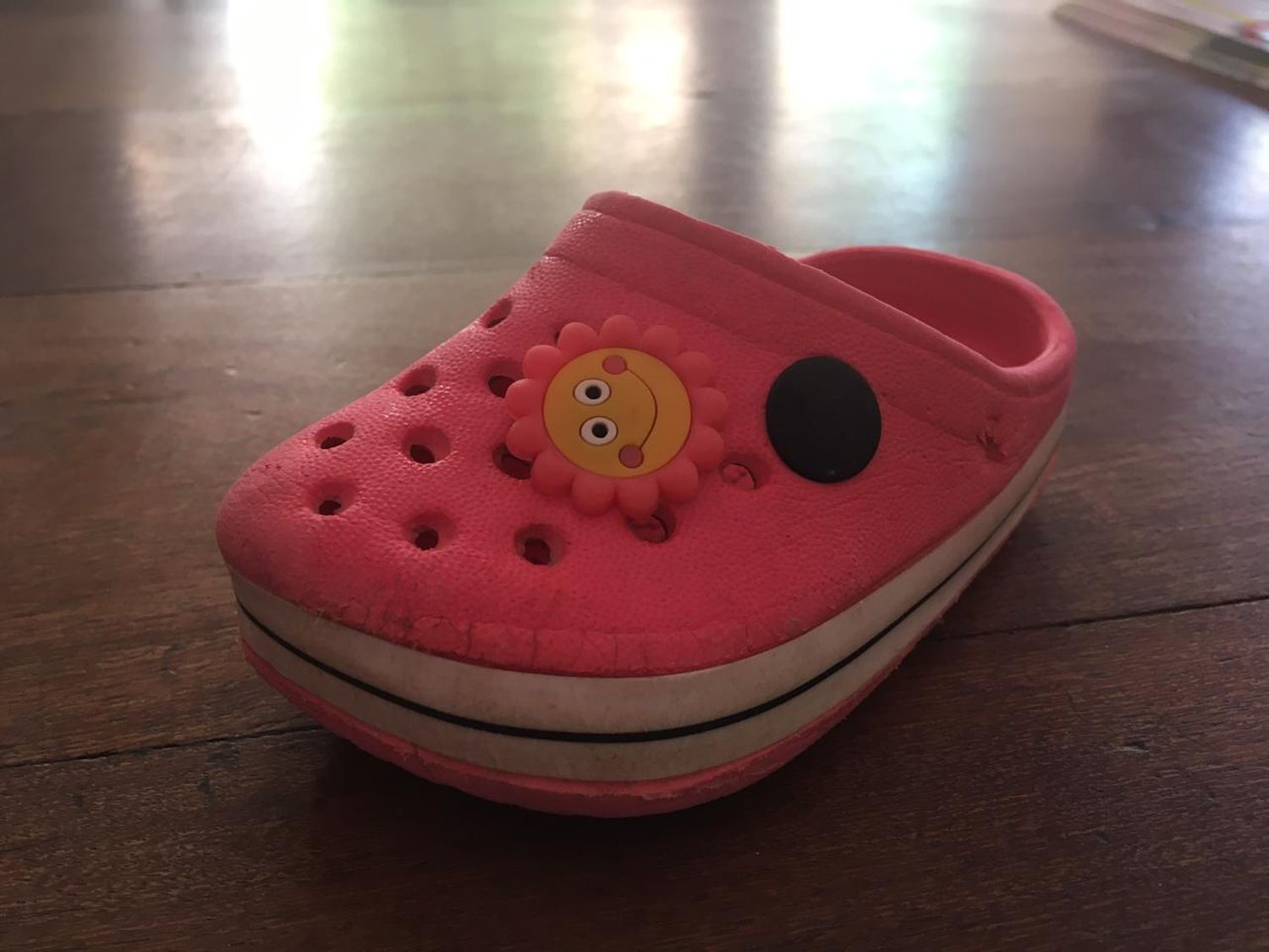 Croc encontrada
