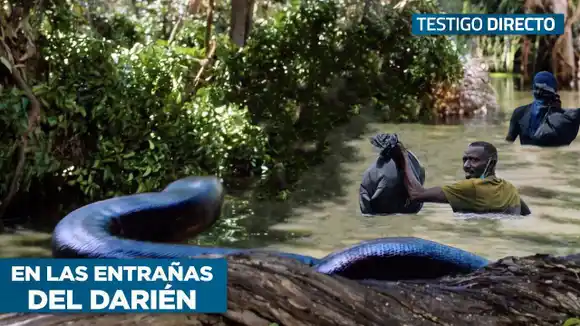 La Selva del Darién 2022: esta es la realidad que no todos se atreven a mostrar – Testigo Directo