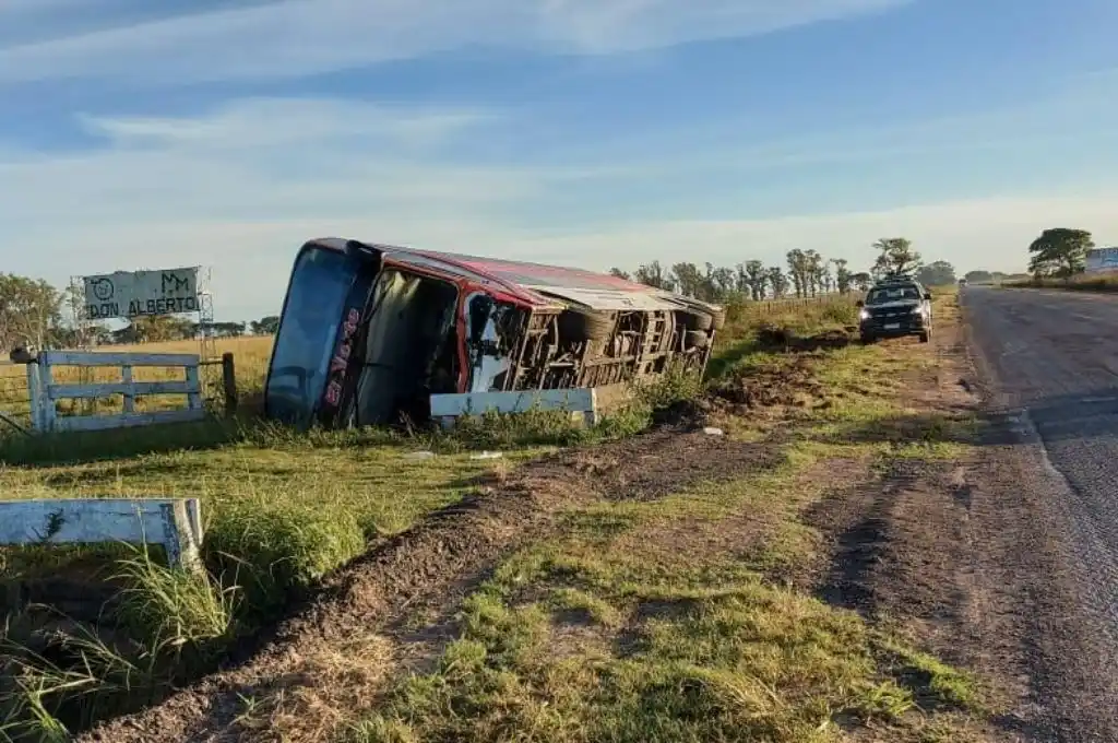 Videla: volcó un colectivo tras chocar dos búfalos