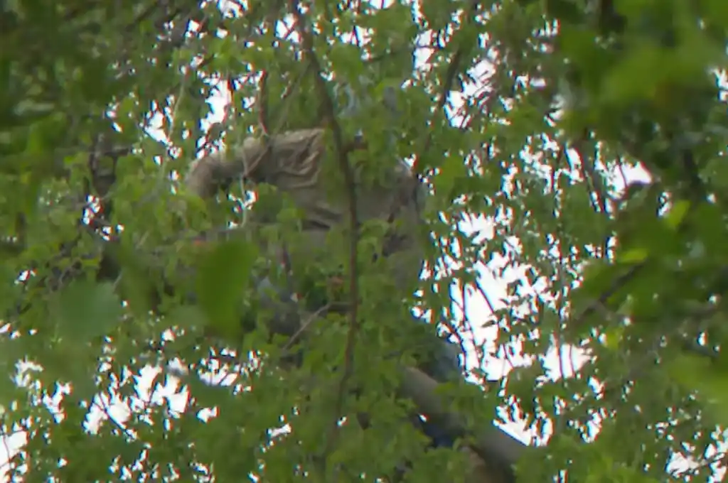 Raúl Ical, un migrante guatemalteco de 29 años.