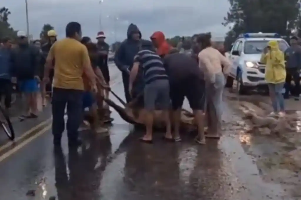 Macabro suceso en Córdoba