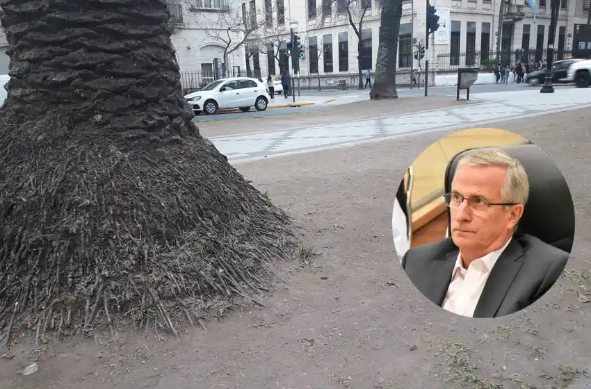 Miatello, preocupado por Oroño: «Hay un abandono bastante notorio de la parte verde del cantero central»