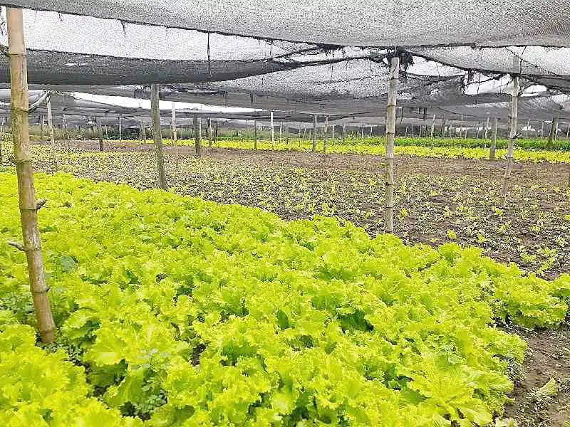 García destacó el crecimiento de 
Herradura en el área productiva