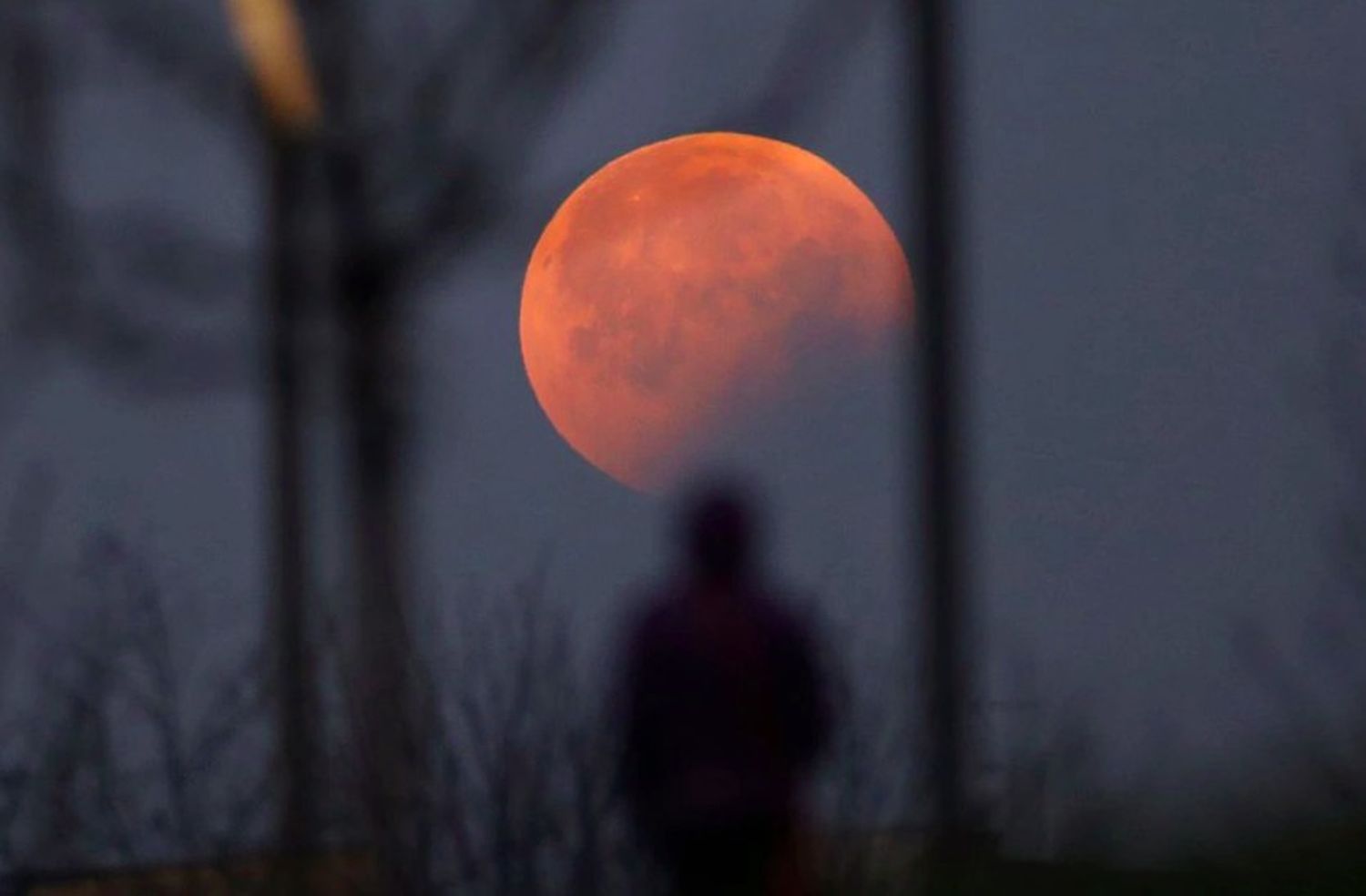 Así será el eclipse de Luna del 19 de noviembre de 2021: ¿se verá en Tandil?