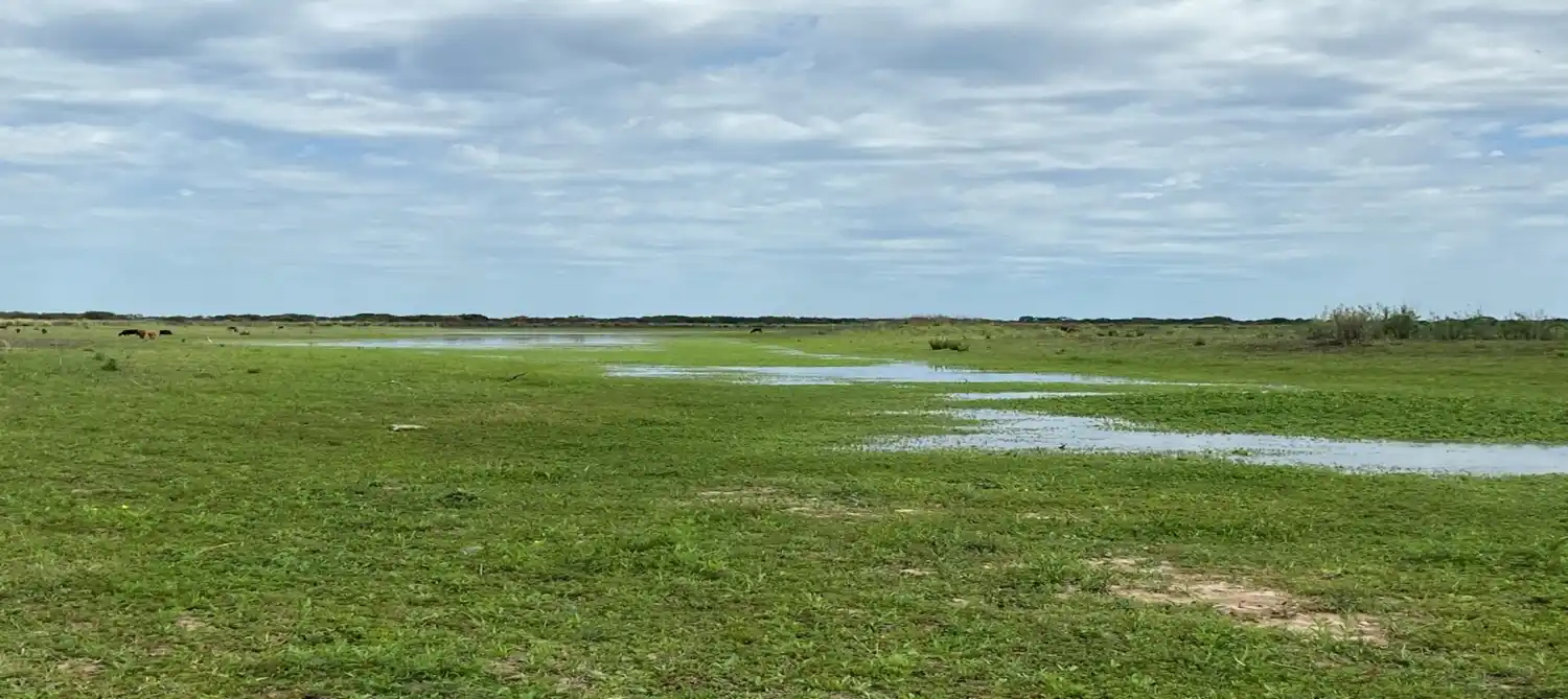 Humedales: sin espacio para la demagogia y el oportunismo