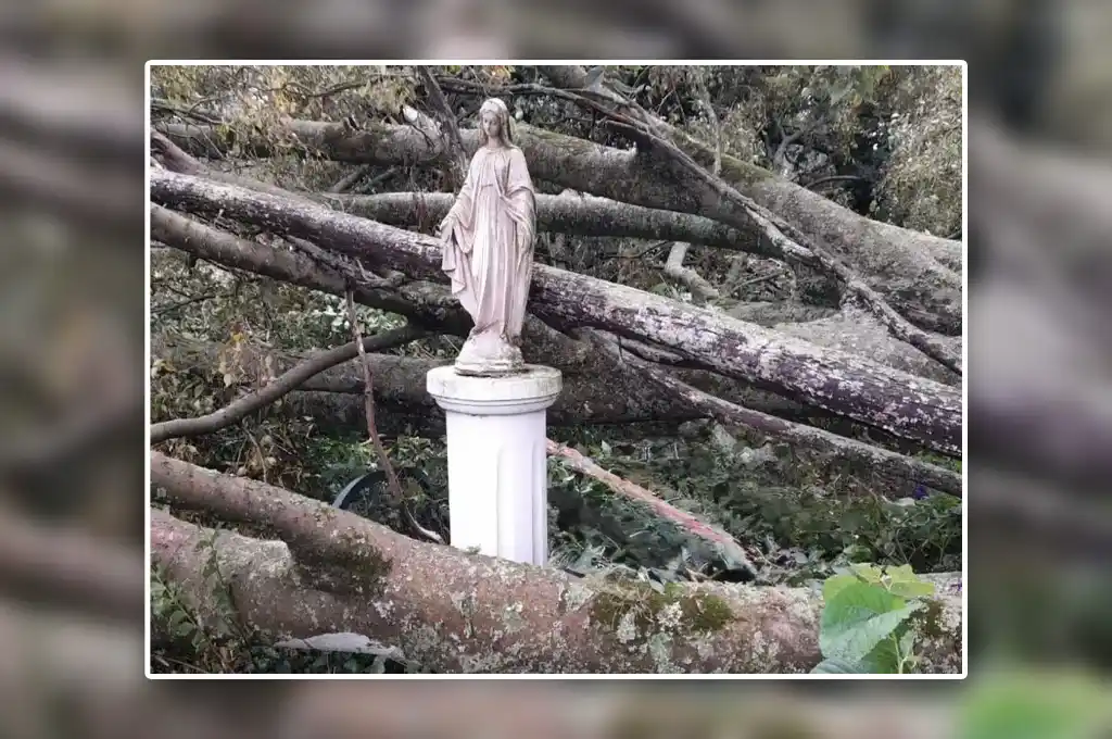La imagen sorprendió a la región tras el devastador temporal. Foto: Gentileza.