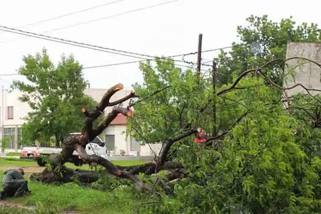 La tormenta dejó varias localidades sin energía y causó destrozos en el sistema eléctrico, afectando a cooperativas y a ENERSA