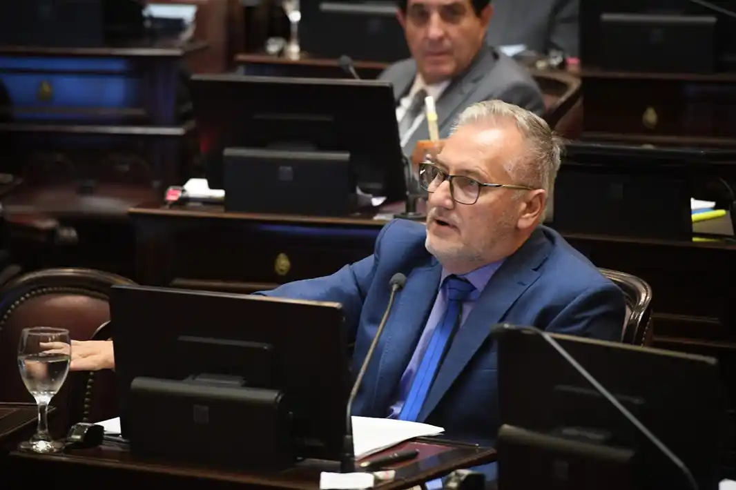 Marcelo Lewandowski, senador nacional.