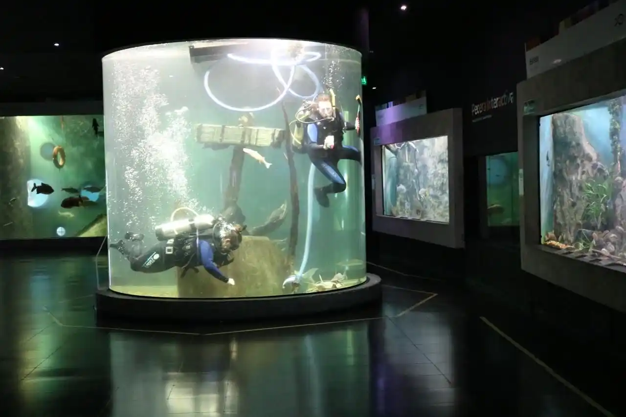 El Acuario del Río Paraná, uno de los imperdibles de Rosario, tuvo un 2025 con crecimiento de visitantes