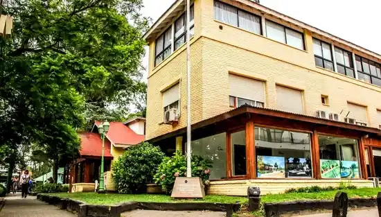 Escándalo en Pinamar: separan de su cargo a la tesorera municipal tras ser filmada guardando dinero en su cartera