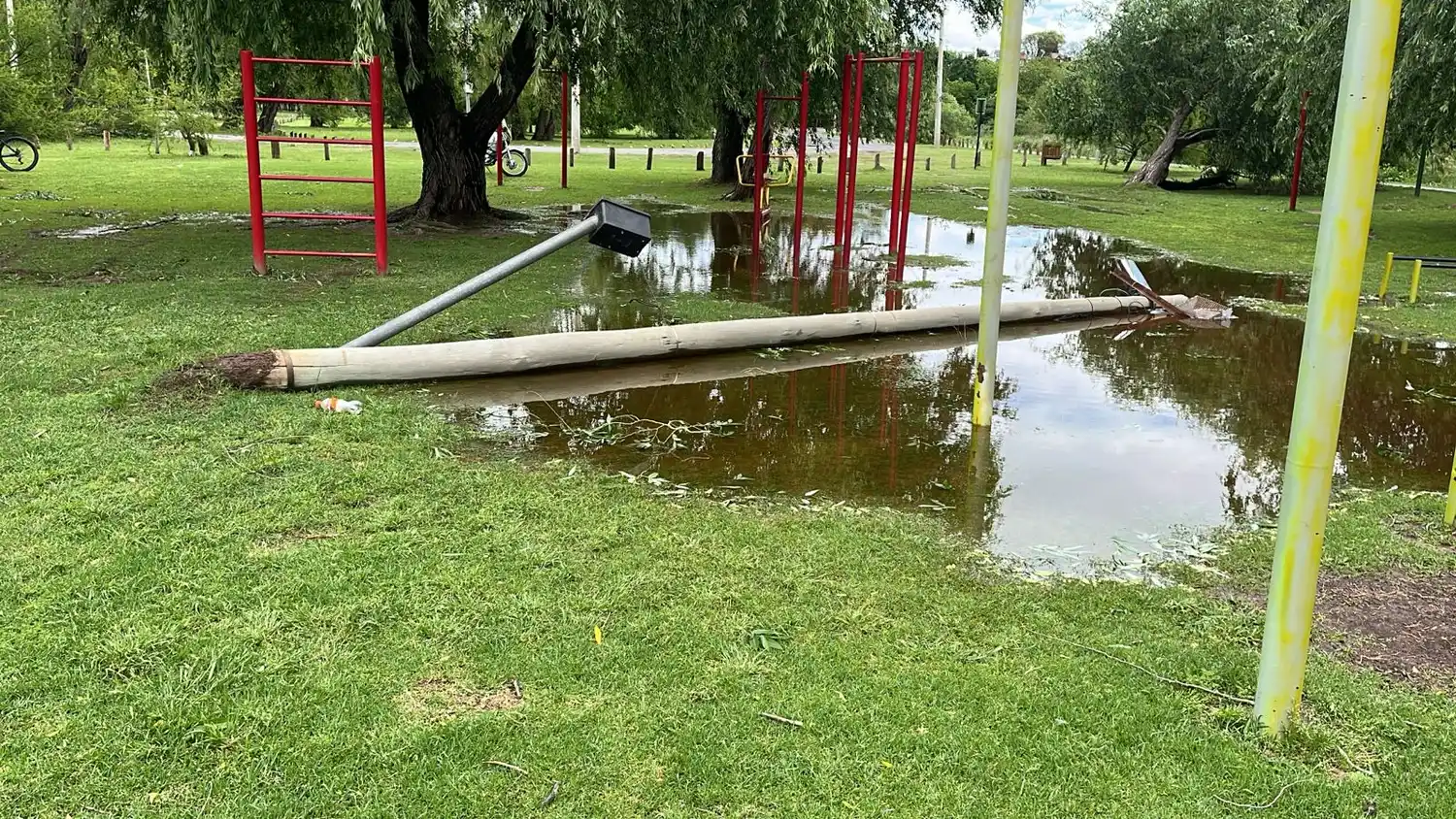 Por el temporal, cayó un poste de luz en el Paseo Público