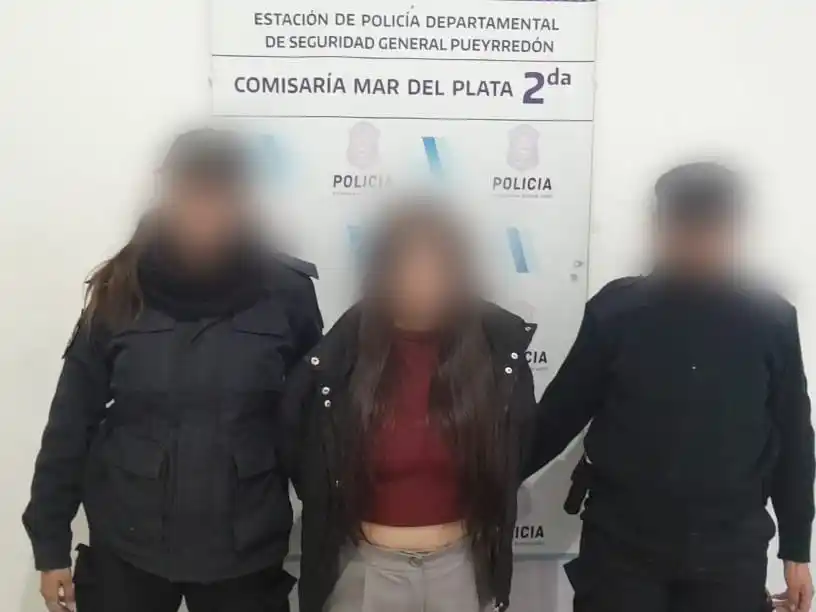 La mujer fue detenida por dos robos en pocos metros.