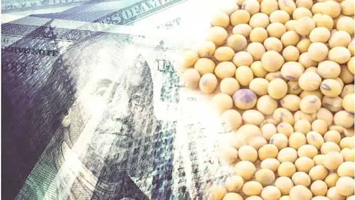 El precio internacional de la soja superó los US$ 600 por tonelada