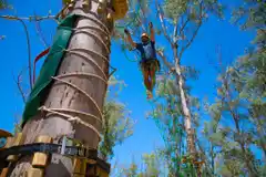 Se inaugura el parque aéreo Minuanes