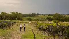 El INV inició el proceso para crear la IG de Victoria, Entre Ríos: cómo es este terroir