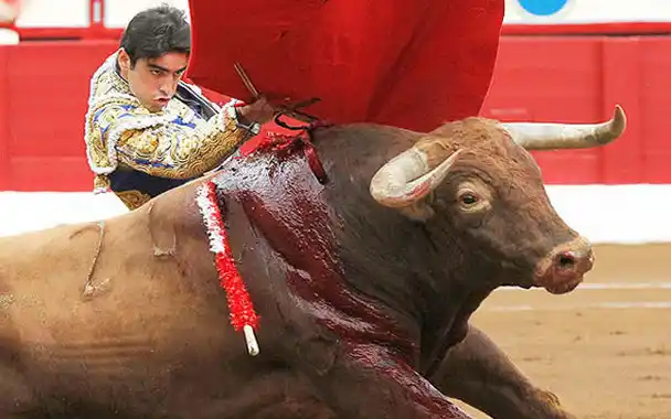 México: prohíben en el estado de Sonora las corridas de toros