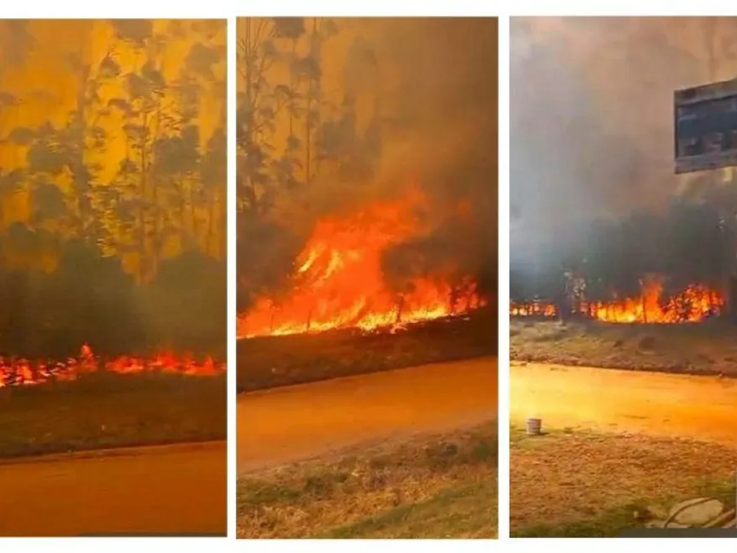 Se pudo controlar el incendio que mantuvo en vilo a Estancia Grande y arrasó centenares de hectáreas productivas