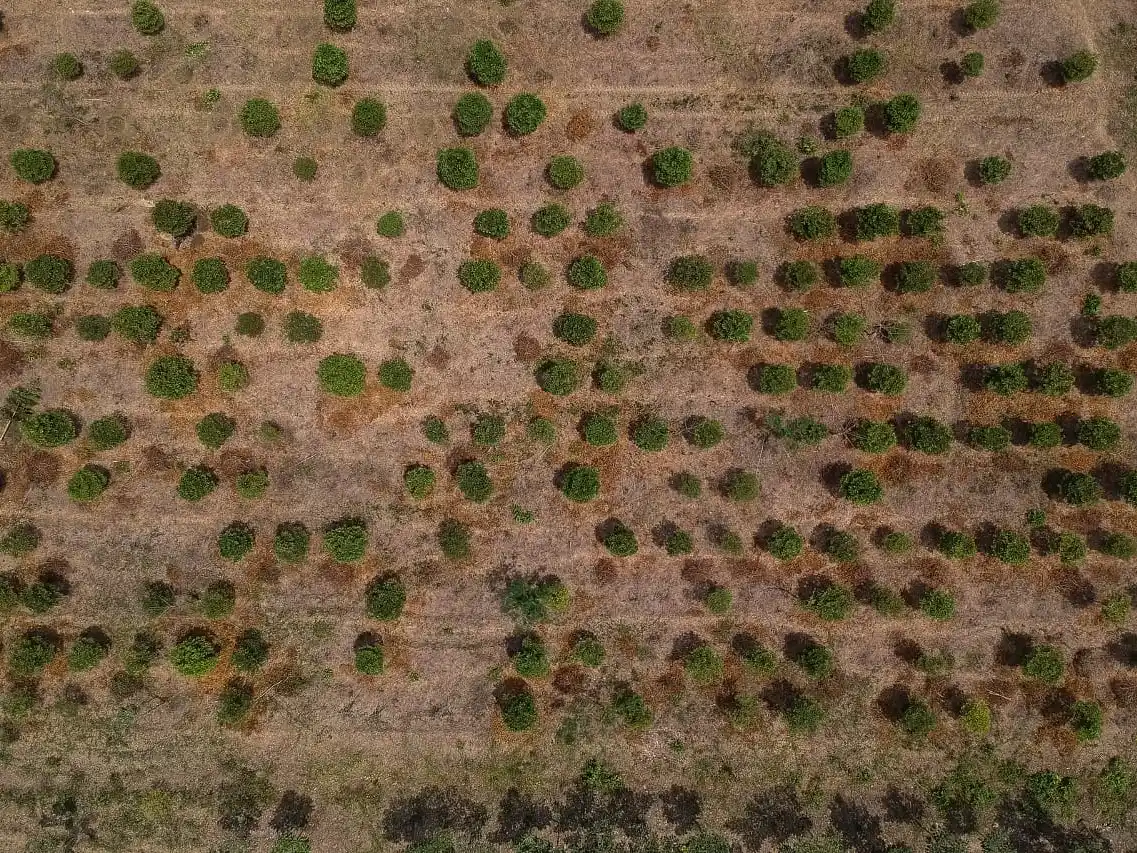 Colombia entra en alerta temprana por posible regreso del fenómeno de El Niño