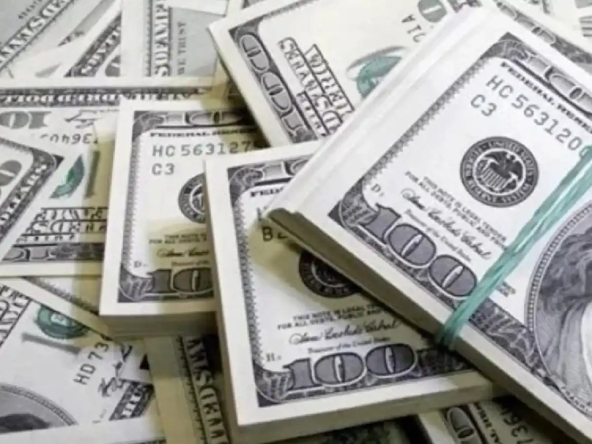 En 46 meses se han ido u$s84.102 millones a colchones y cajas