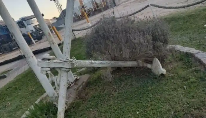 Los objetos fueron hallados por buques areneros en el río Paraná. Foto: Grupo Conservacionista de Fósiles.