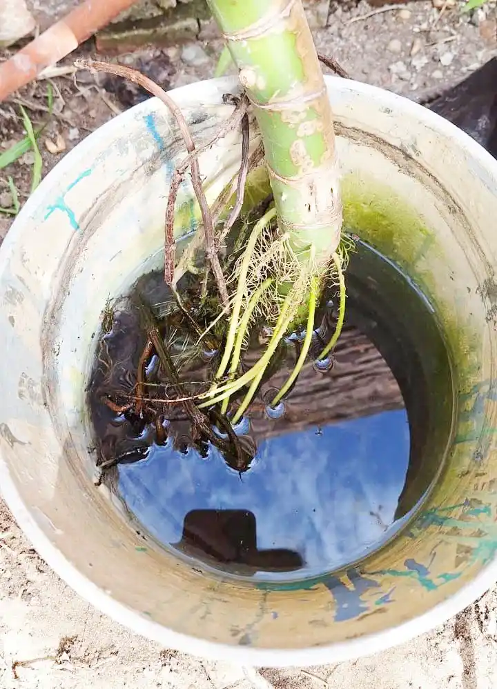 La subsecretaría de salud pide a la comunidad mantener las medidas preventivas