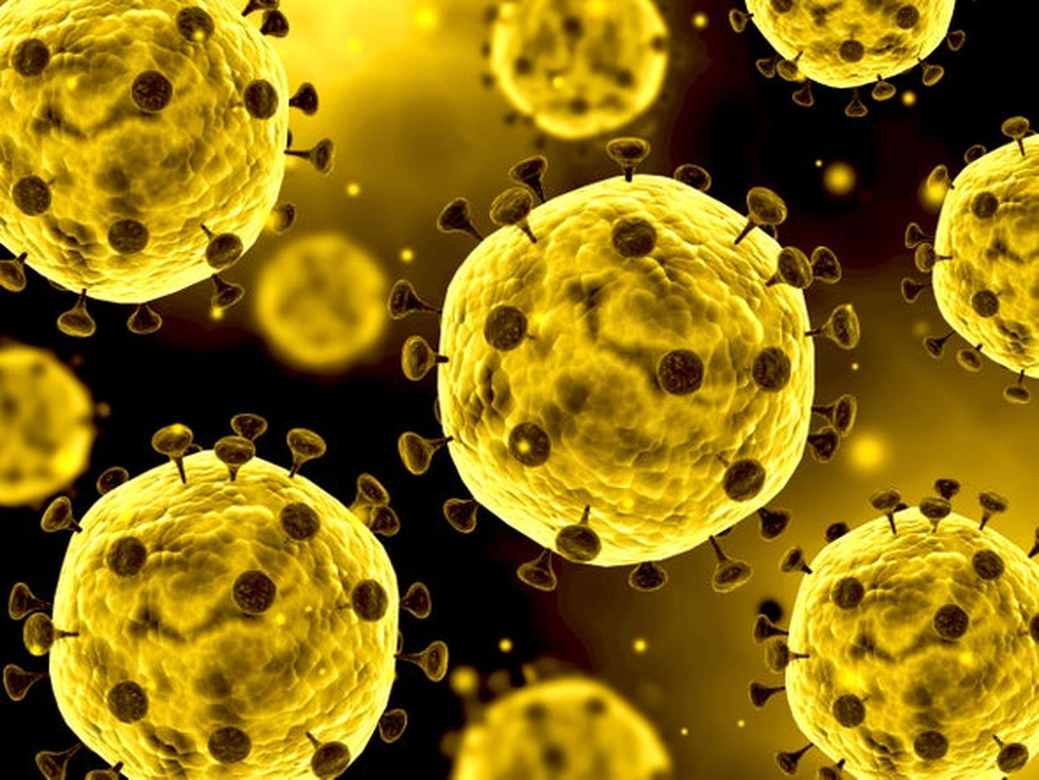 #Coronavirus Parte 23 de noviembre de 2021: 1.644 casos y 33 muertes informadas en las últimas 24 horas