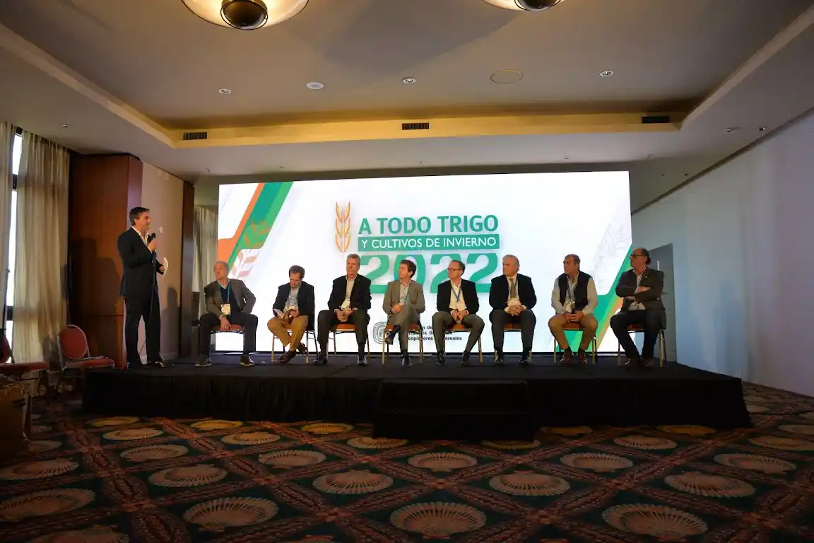 El trigo HB4 en el centro del ring: voces a favor y en contra