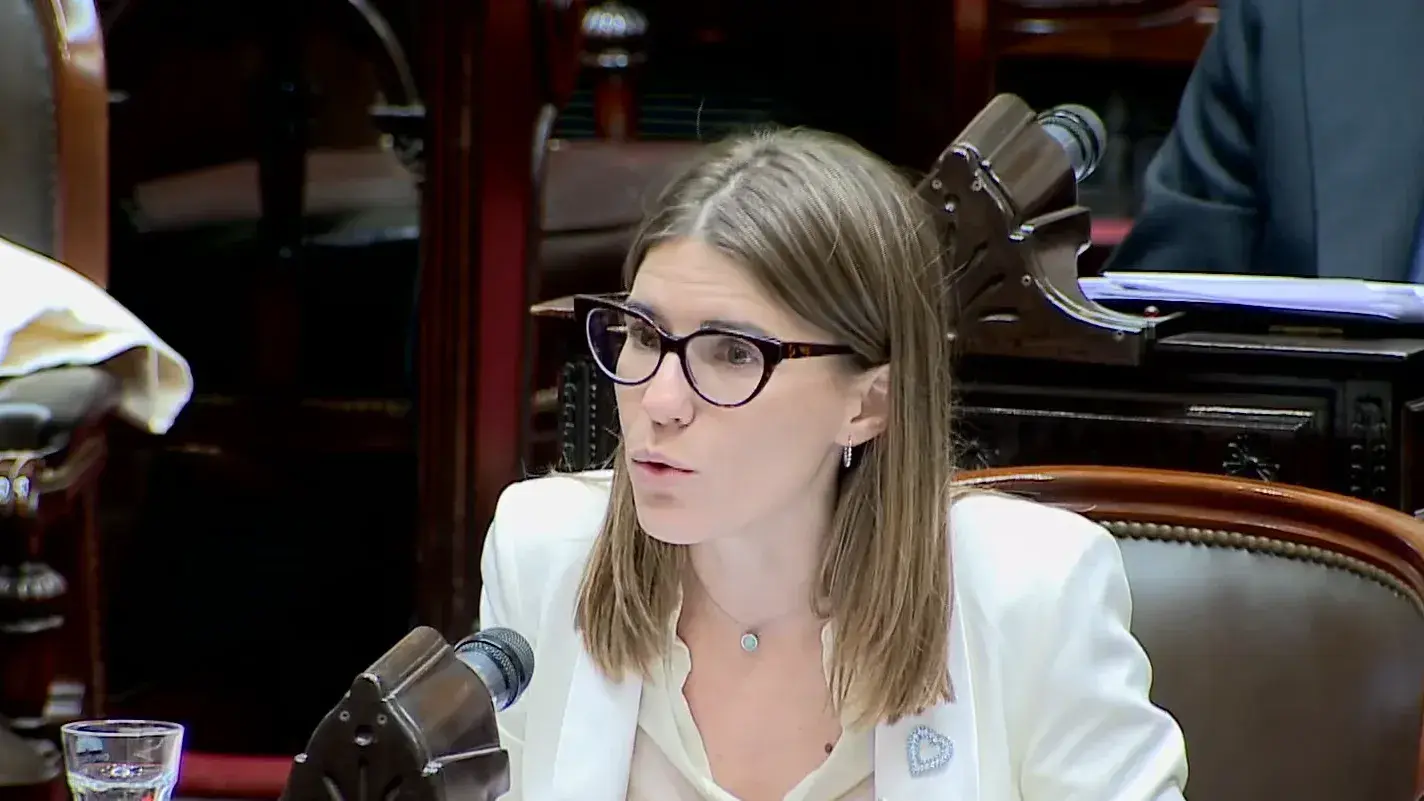 Salzmann cuestionó el Super RIGI: "Mientras las corporaciones reciben privilegios, las PyMES pelean para sobrevivir"