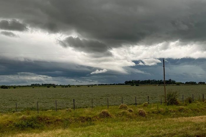 campo