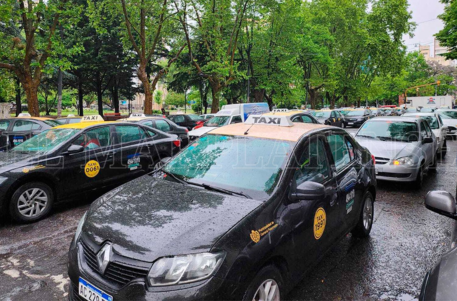 Ante el incremento de quejas, el municipio exige el cumplimiento del servicio nocturno de taxis