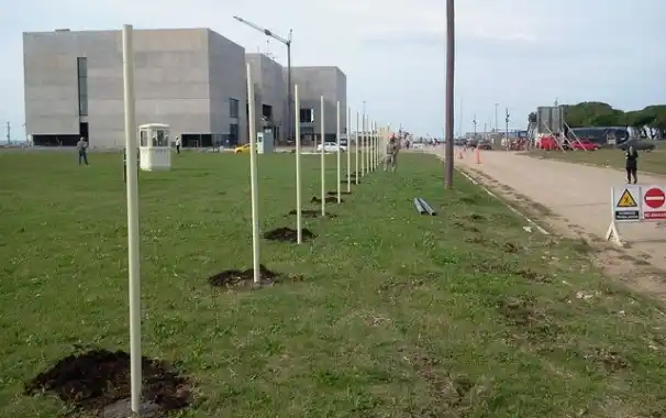 Mar del Plata: Polémica por la instalación del barrio del Programa Procrear lanzado por Cristina