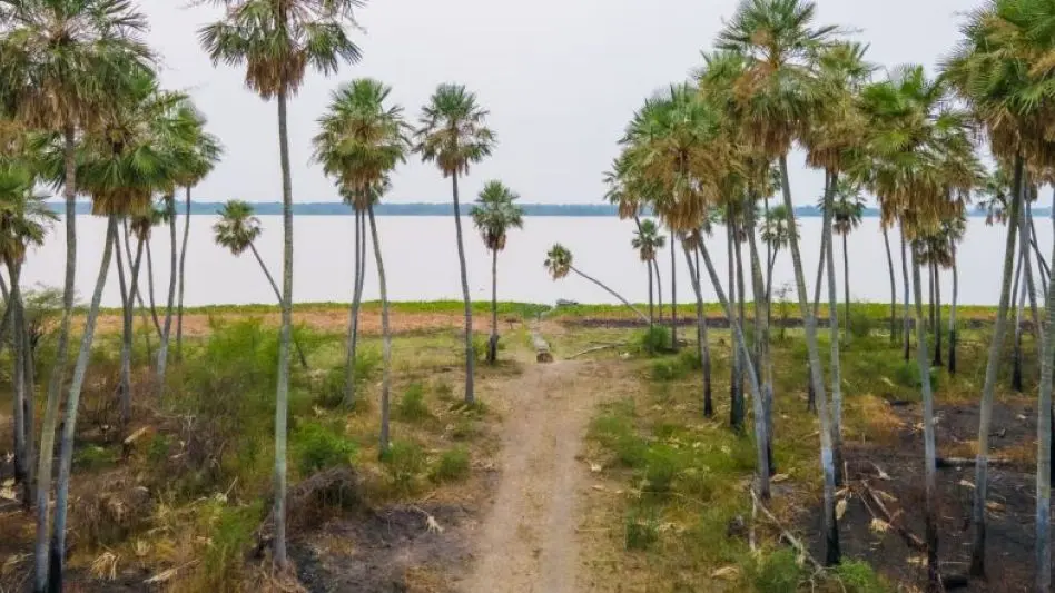 Se aprobó la ley para la creación del Parque Nacional Laguna El Palmar