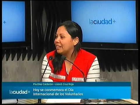 Se conmemora el Día Internacional de los Voluntarios | La Ciudad