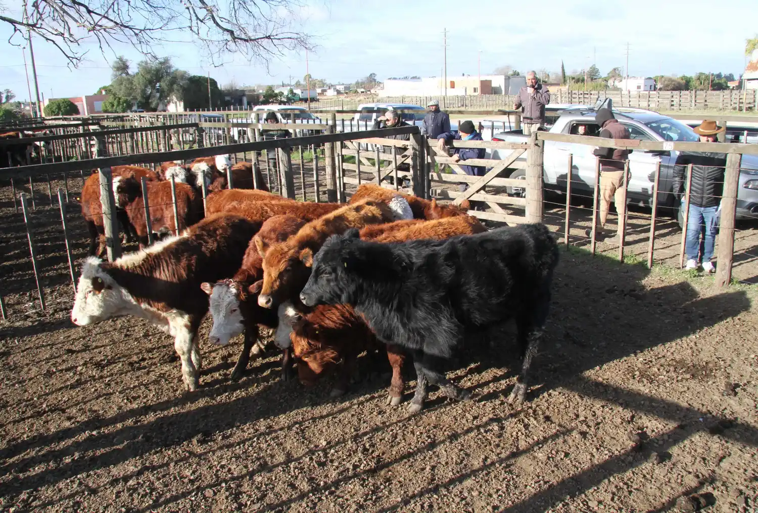 Los Arzoz pudieron calentar la feria