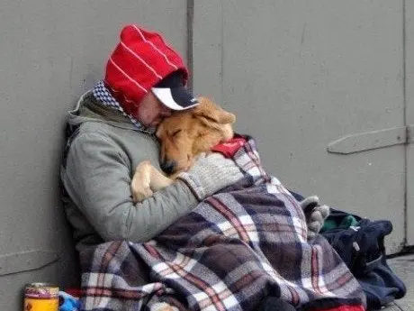 Ni ellos, ni sus perros: el abandono no es opción.