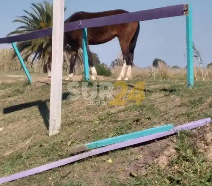 La Comuna de Melincué denuncia daños en espacios públicos y advierte por futuras sanciones