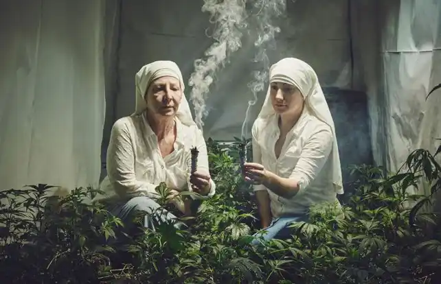 Las “monjas de la marihuana” que cultivan cannabis y lo reparten al mundo por correo