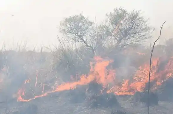 Se registraron incendios en las islas frente a San Lorenzo