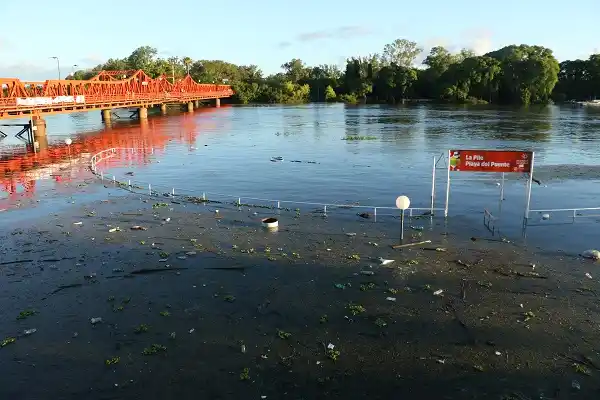 Paulatinamente, el río comienza a descender: está en 4.22 metros estable
