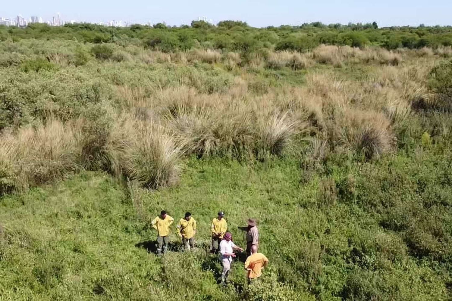 La Secretaría de Ambiente solicitó autorización para la realización de cortafuegos preventivos en el Delta