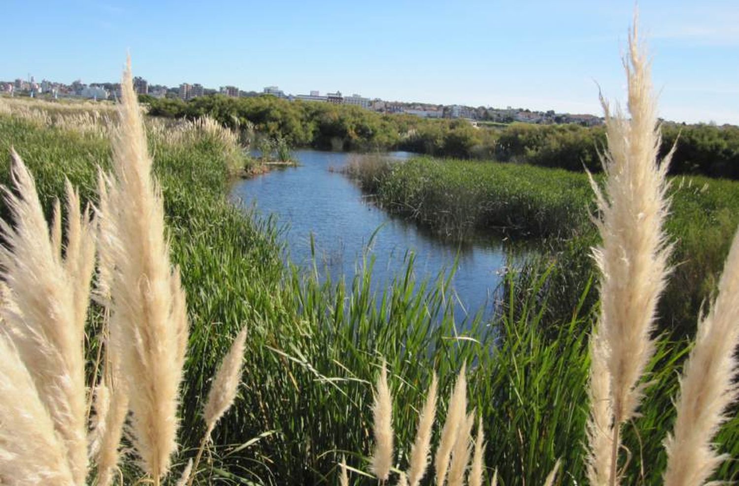 Buscan crear un plan de manejo para proteger la Reserva Natural del Puerto