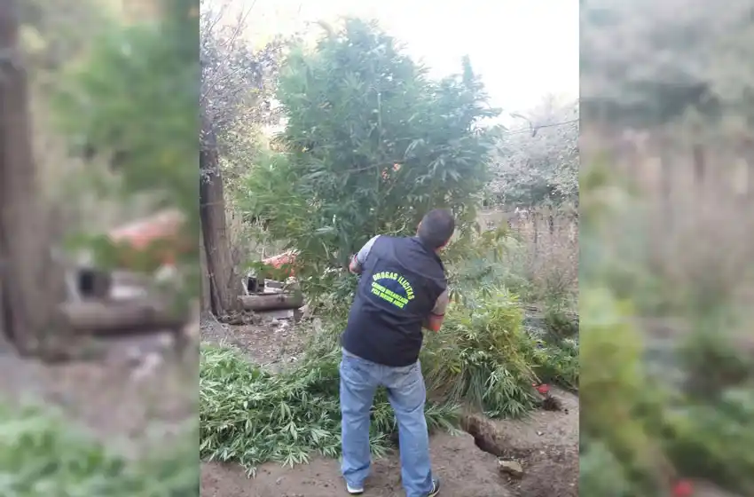 Pirán: Incautaron marihuana y armas de fuego durante un allanamiento