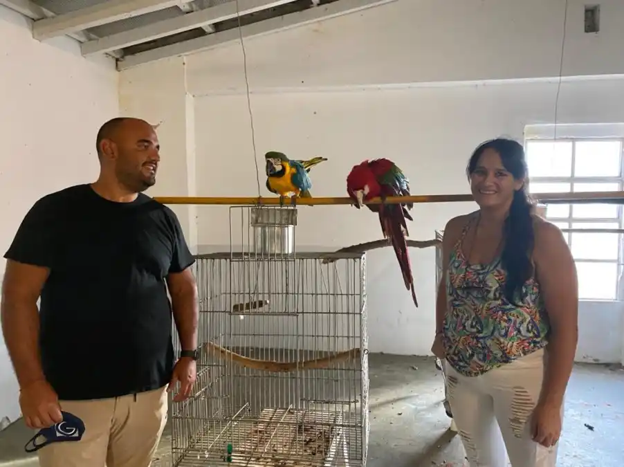 Acusan a la fiscalía de Gualeguaychú por "abuso de autoridad" en el caso de los guacamayos