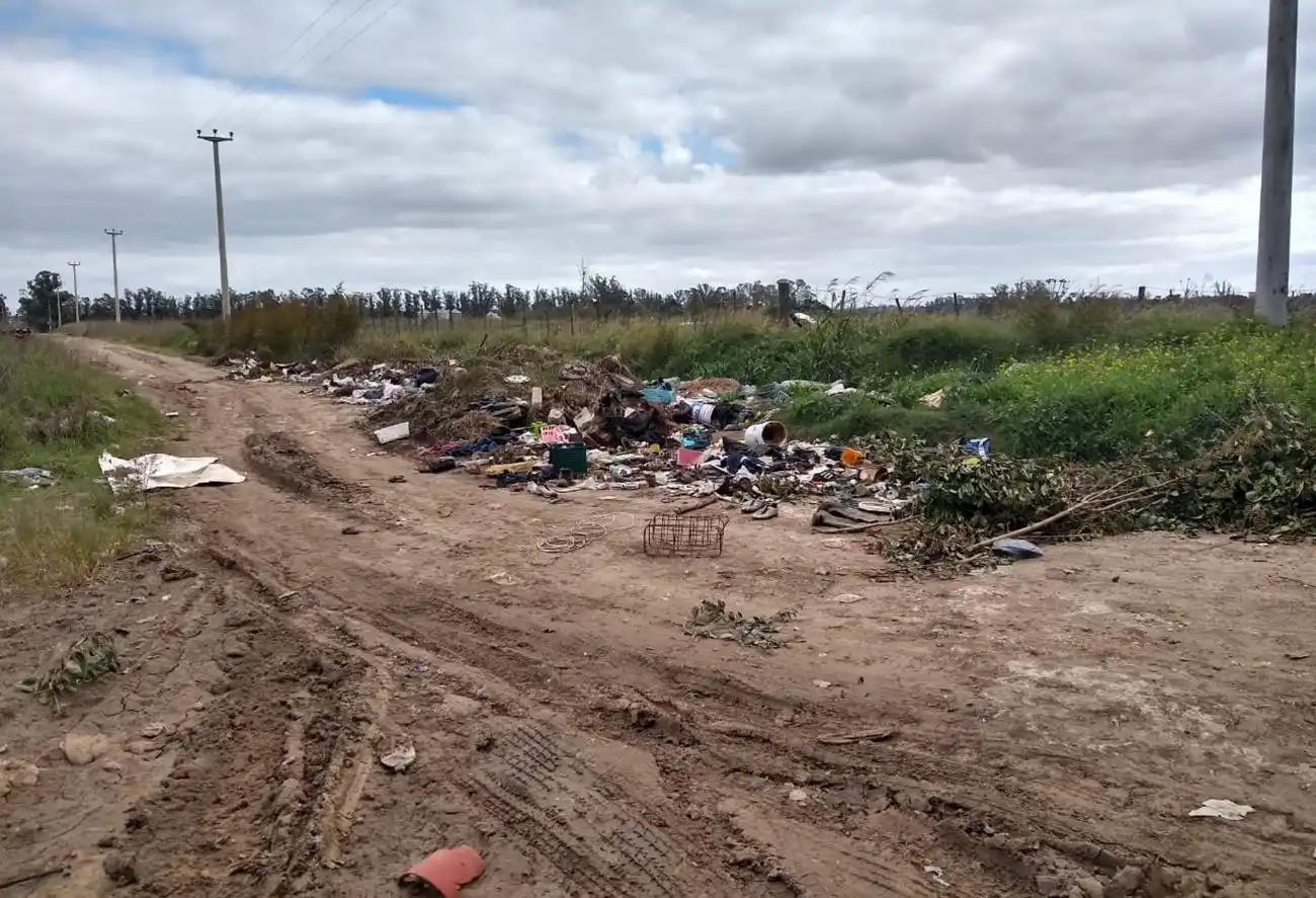 Por el dispar acatamiento vecinal, la recolección de residuos volverá a su esquema diario