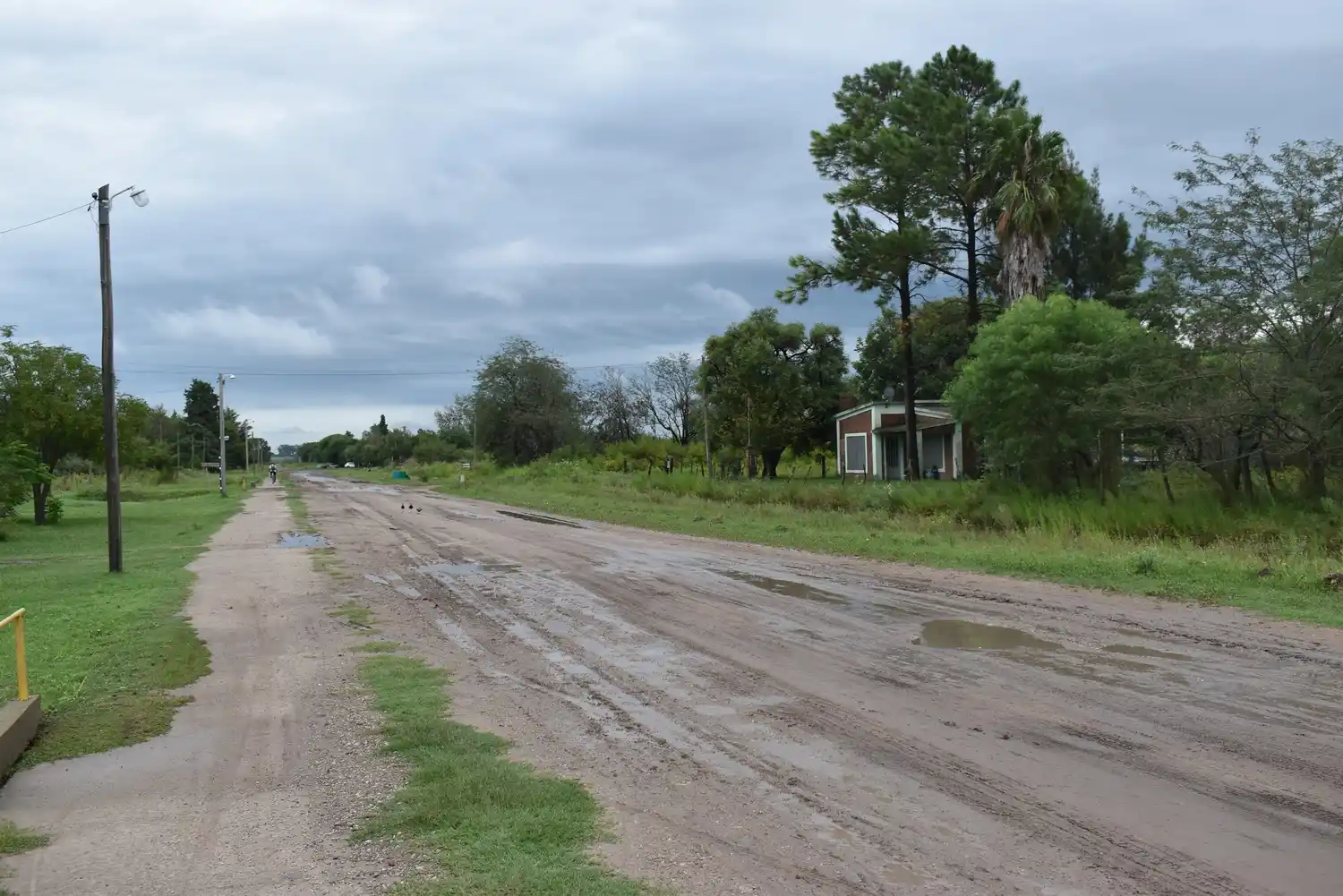 Crecen los casos de dengue y hay alerta en las autoridades