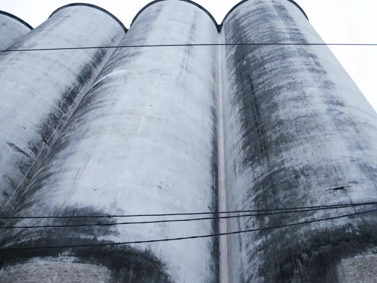 Piden información sobre silos