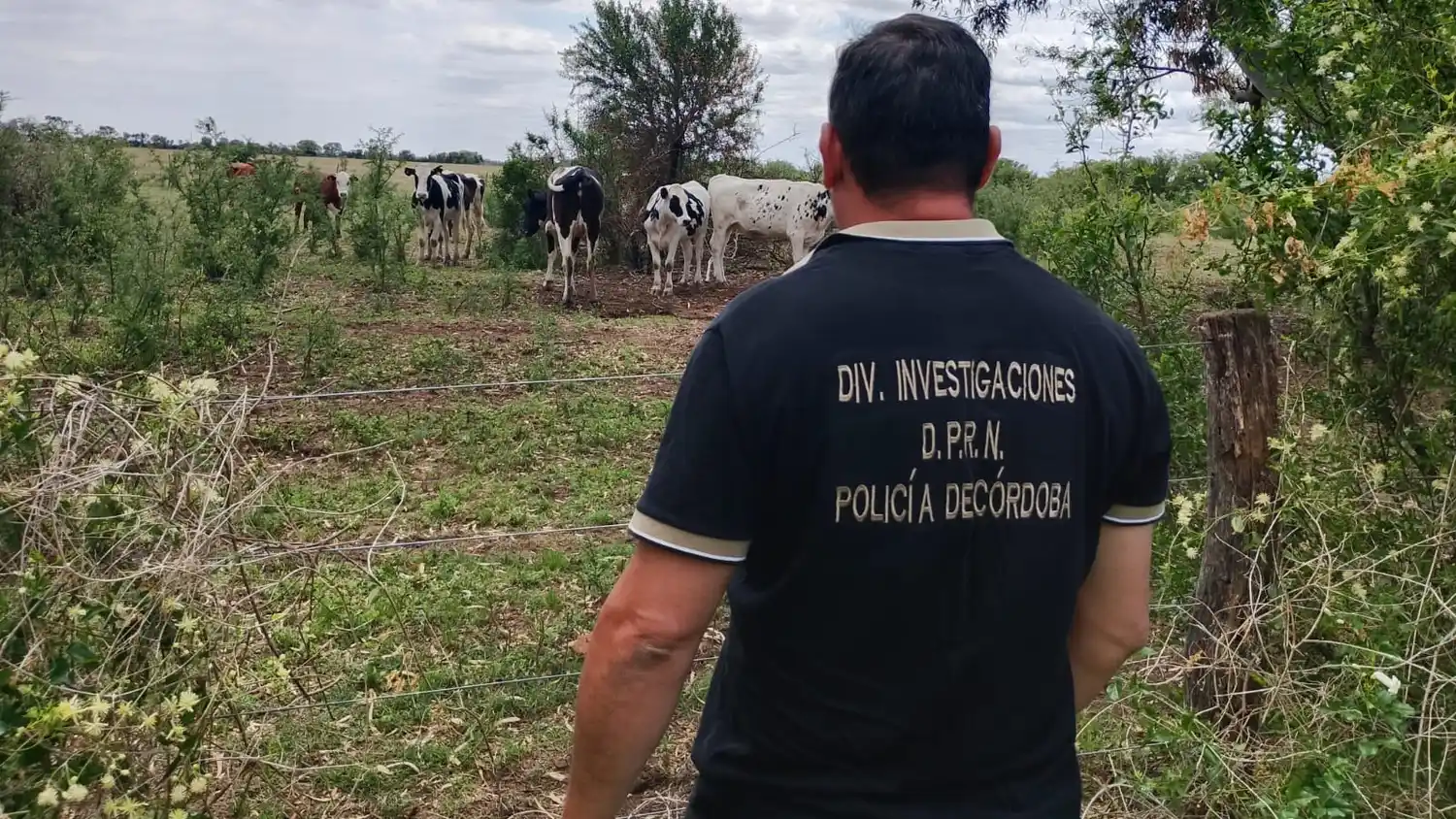 Laspiur. Allanamiento. Animales