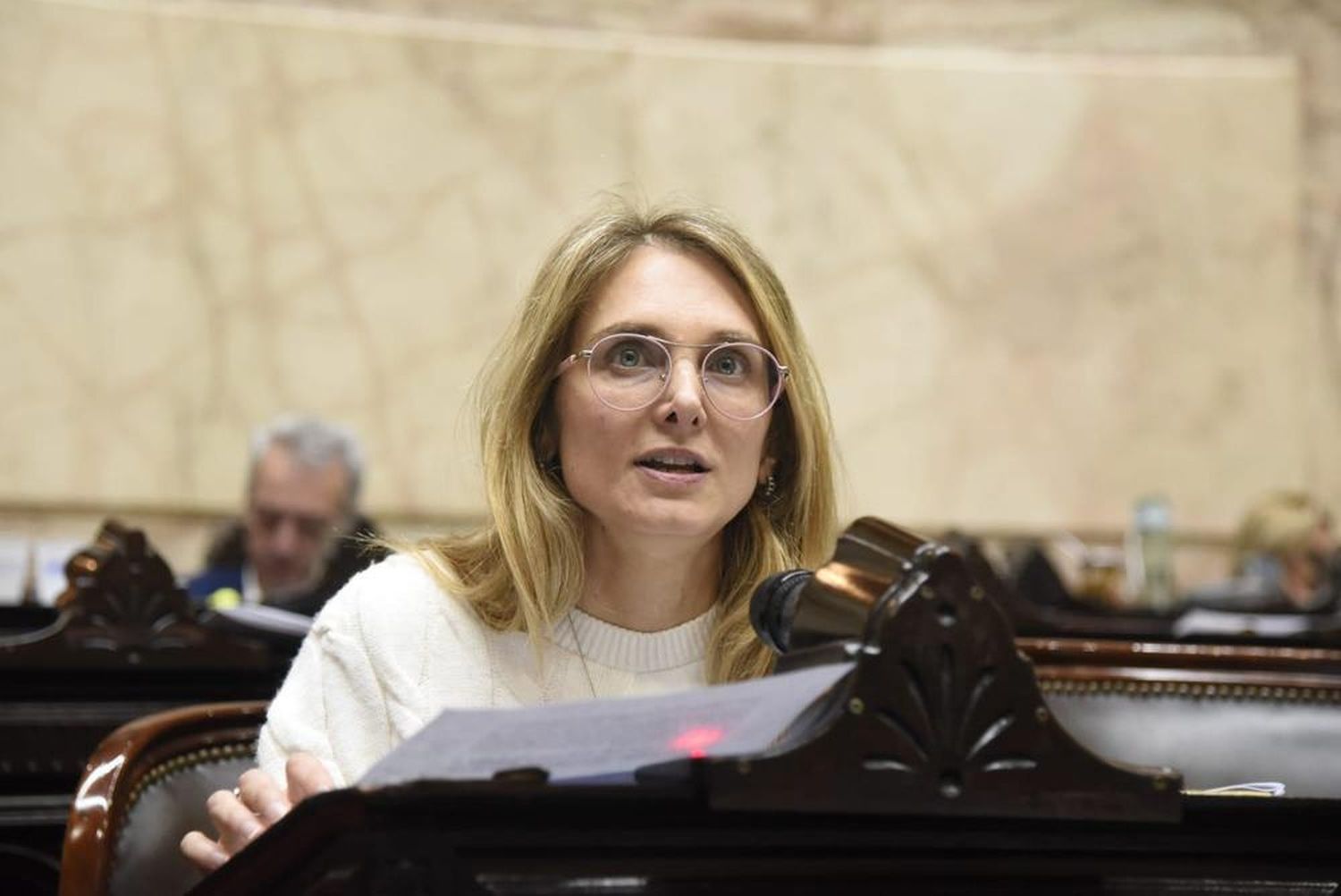 Gabriela Brouwer, titular de la Comisión de Previsión y Seguridad Social.