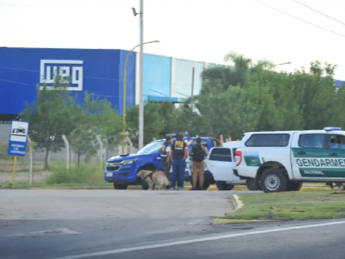 La Justicia Federal investiga la ruta de los 300 kilos de droga secuestrados 