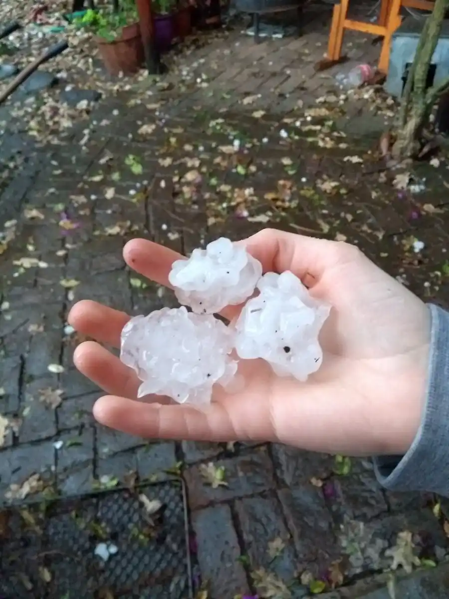 Cayó granizo en distintos sectores de la Provincia de Buenos Aires